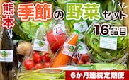 【6か月連続定期便】熊本季節の野菜セット　16品目　AB003