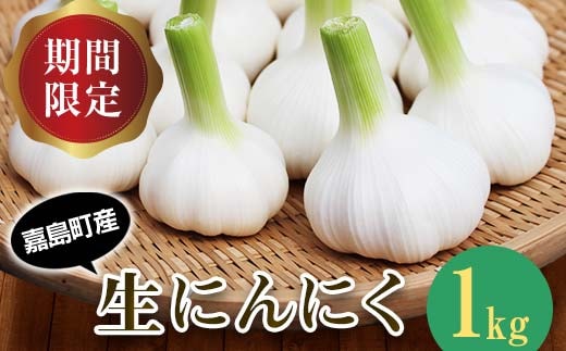 FK7-0179_【先行予約】 生にんにく 1kg