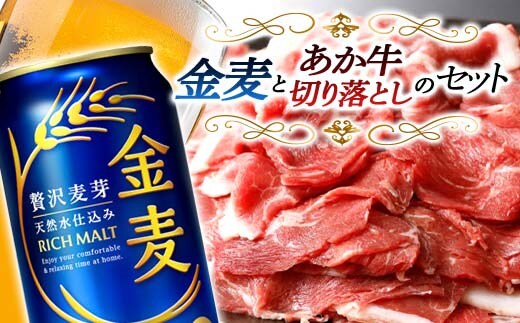FKK19-04C_サントリー 金麦とあか牛切り落としセット 熊本県 嘉島町 ビール セット