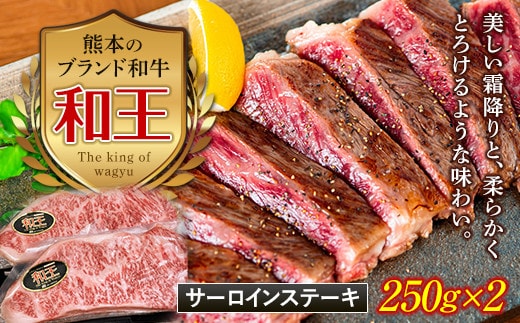 FKK19-529_熊本和王 サーロインステーキ 500g 熊本県 嘉島町