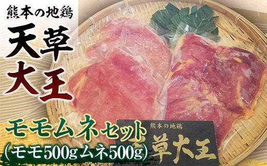 FKK19-176_天草大王 モモムネセット(モモ500g・ムネ500g) 熊本県 嘉島町