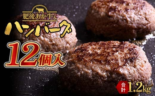 FKK19-997_あか牛入りハンバーグ100g×12個 牛 ハンバーグ 牛肉 ビーフ 肉 食品