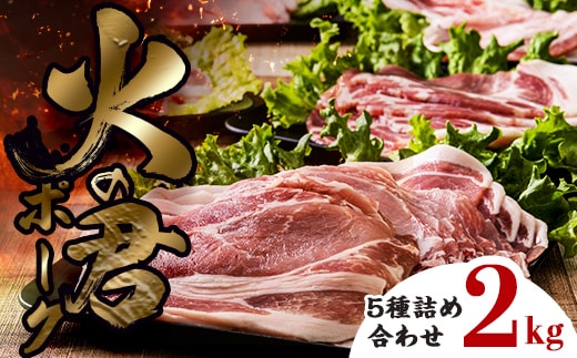 FK7-0020_【数量限定】熊本県産 火の君ポーク(登録商標) 5種詰合せ 約2kg 豚こま 豚コマ ロース バラ 肉 豚肉しゃぶしゃぶ 生姜焼き 豚汁 弁当 焼肉 ストック 便利