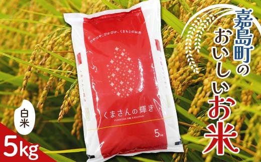 FK7-0222_【令和7年度産】【先行予約】嘉島町のおいしいお米（くまさんの輝き/白米） 5kg