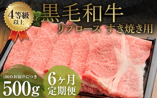 【6ヶ月定期便】くまもと黒毛和牛 リブロース すき焼き用 500g 牛肉 牛 肉