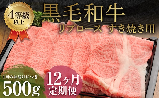 【12ヶ月定期便】くまもと黒毛和牛 リブロース すき焼き用 500g 牛肉 牛 肉