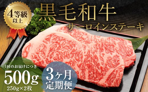 【3ヶ月定期便】くまもと黒毛和牛 サーロインステーキ 500g(250g×2枚) 牛肉 牛 肉