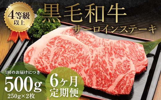 【6ヶ月定期便】くまもと黒毛和牛 サーロインステーキ 500g(250g×2枚) 牛肉 牛 肉