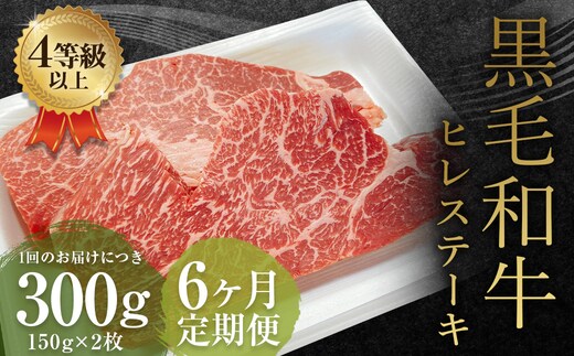 【6ヶ月定期便】くまもと黒毛和牛 ヒレステーキ 300g(150g×2枚) 牛肉 牛 肉