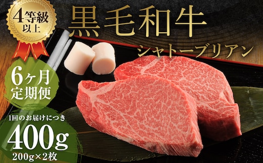 【6ヶ月定期便】くまもと黒毛和牛 シャトーブリアン 400g(200g×2枚) 牛肉 牛 肉