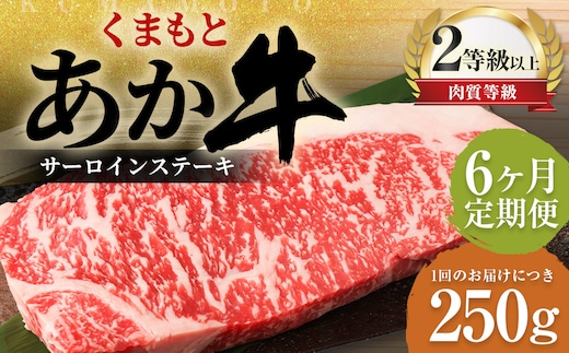 【6ヶ月定期便】くまもとあか牛サーロイン 250g×1枚 牛肉 牛 肉