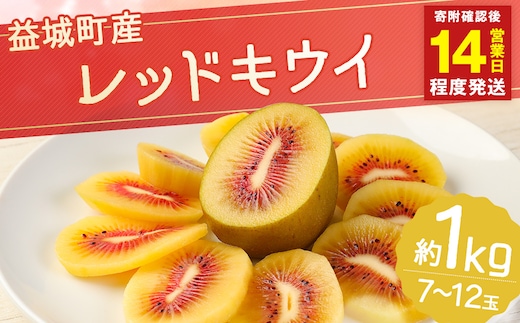 【14営業日以内発送】 益城町産 レッドキウイ 約1kg(7~12玉)【2025年10月下旬~2026年2月上旬順次発送予定】