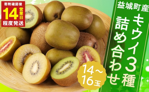 【14営業日以内発送】 益城町産 特選 キウイ 3種 詰め合わせ 約1.8kg 14~16玉 (各種4玉~6玉) 【2025年11月下旬~2026年1月下旬順次発送予定】