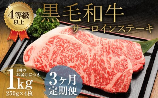 【3ヶ月定期便】くまもと黒毛和牛サーロインステーキ 1.0kg(250g×4枚)牛肉 牛 肉