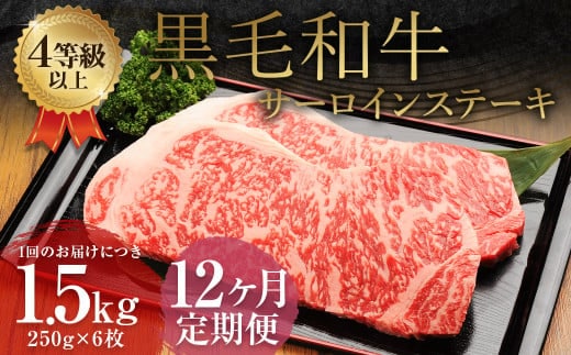 【12ヶ月定期便】 くまもと 黒毛和牛 サーロインステーキ 1.5kg(250g×6枚)牛肉 牛 肉