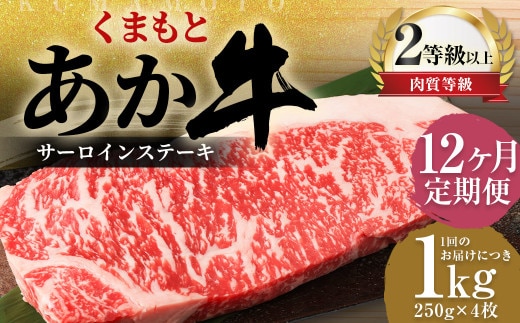 【12ヶ月定期便】 くまもと あか牛 サーロイン 1.0kg(250g×4枚) 牛肉 牛 肉