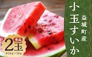 小玉すいか 秀品 2玉 約2~3kg 送料無料 スイカ すいか 益城町産 お取り寄せ お取り寄せグルメ 西瓜 フルーツ 【2026年5月下旬~7月下旬発送予定】