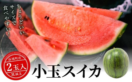 小玉スイカ 3Lサイズ以上 2玉入り 益城町 すいか 果物 フルーツ【2026年5月上旬~2026年7月下旬発送予定】