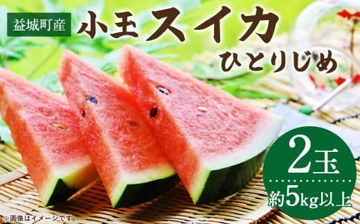 益城町産 スイカ 小玉 (ひとりじめ) 2玉(約5kg以上) 【2026年5月下旬~6月上旬発送予定】