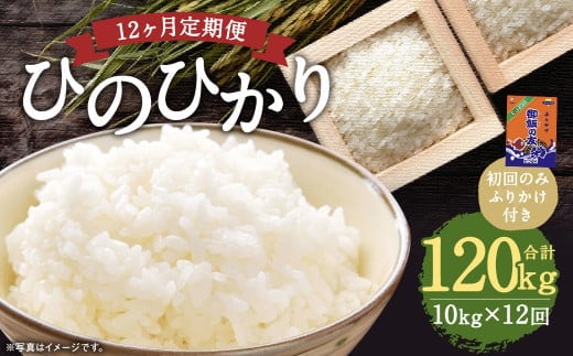 【12回定期便】ひのひかり 10kg (初回 ご飯の友 付き) 計120kg 熊本 米 ふりかけ 御飯の友【2025年10月上旬より1回目の発送予定】