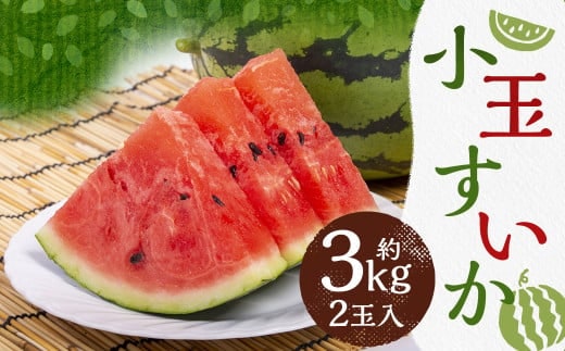 小玉 すいか 2玉入り 3Lサイズ 約3kg【2026年4月下旬~8上旬発送予定】