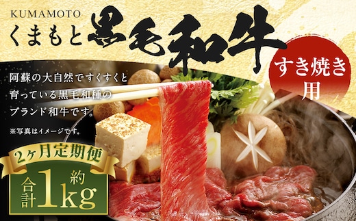 【定期便2回】くまもと 黒毛和牛 すきやき用 約500g