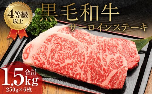 くまもと 黒毛和牛 サーロインステーキ 1.5kg(250g×6枚)牛肉 牛 肉