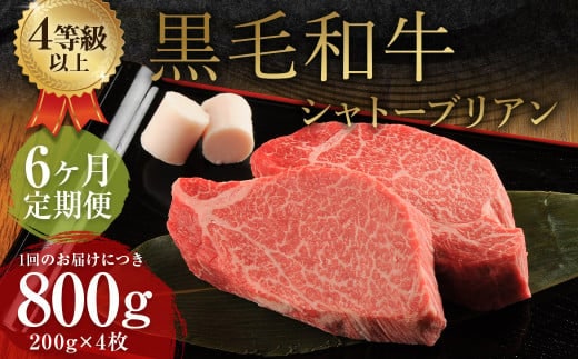 【6ヶ月定期便】 くまもと 黒毛和牛 シャトーブリアン 800g(200g×4枚) 牛肉 牛 肉
