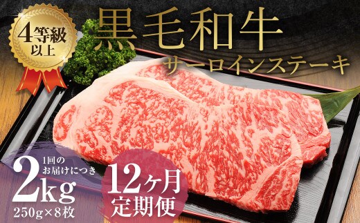 【12ヶ月定期便】 くまもと 黒毛和牛 サーロインステーキ 2.0kg(250g×8枚) 牛肉 牛 肉