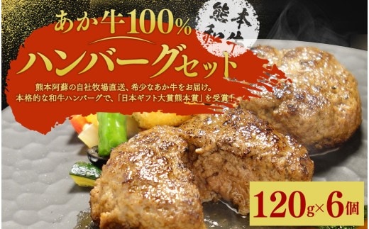 あか牛 100% ハンバーグ セット 約120g×6個