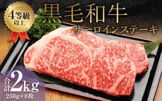 くまもと 黒毛和牛 サーロインステーキ 2.0kg(250g×8枚)牛肉 牛 肉