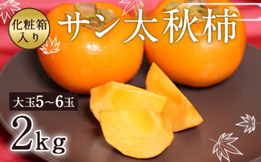 サン太秋 化粧箱 大玉 5~6玉 約2kg 【2026年10月下旬~12月上旬発送予定】
