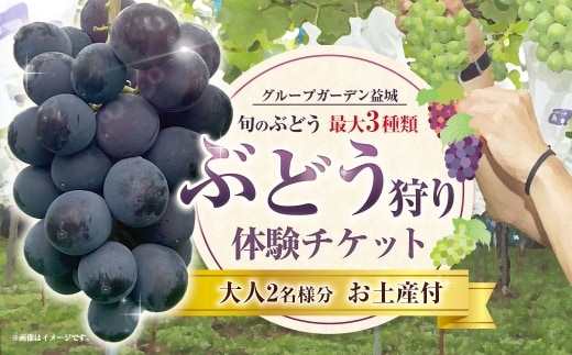 ぶどう狩り体験チケット ( 大人2名様分 ) お土産付き 【2026年8月5日までお申込み可】 【2026年7月下旬~8月下旬ご案内予定】 収穫 試食 自然 家族連れ 観光 体験チケット 体験 経験 チケット ぶどう狩り ぶどう ブドウ 葡萄 時間無制限 無制限