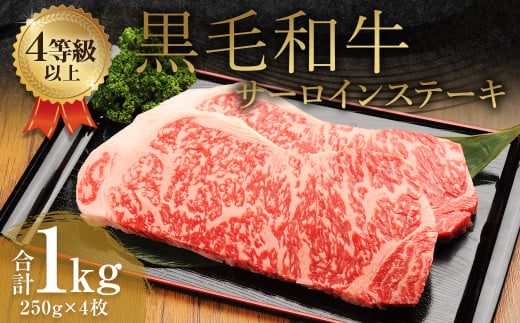 くまもと 黒毛和牛 サーロインステーキ 1.0kg(250g×4枚)牛肉 牛 肉