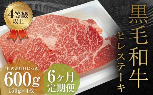 【6ヶ月定期便】くまもと黒毛和牛ヒレステーキ 600g(150g×4枚)牛肉 牛 肉