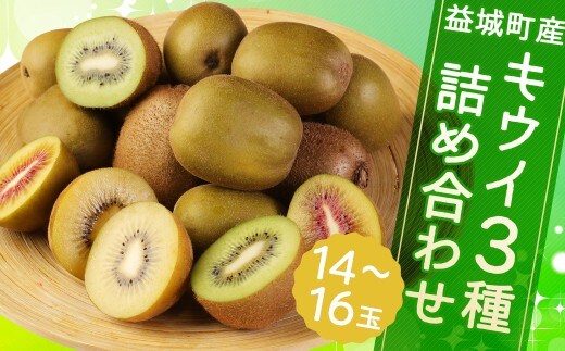 益城町産 特選 キウイ 3種 詰め合わせ 約1.8kg 14~16玉 (各種4玉~6玉) 【2026年11月下旬~2027年1月下旬順次発送予定】