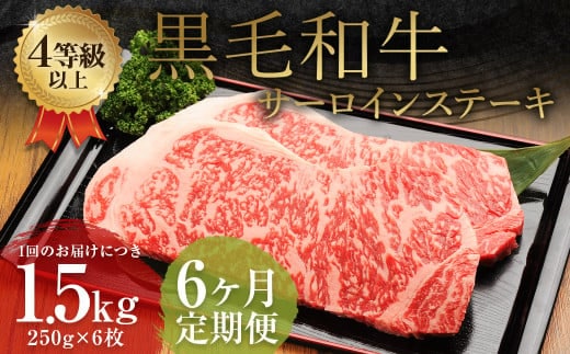 【6ヶ月定期便】 くまもと 黒毛和牛 サーロインステーキ 1.5kg(250g×6枚)牛肉 牛 肉