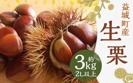 生栗 クリ 大粒 2L以上 約3kg くり マロン【2026年9月上旬~10月上旬発送予定】