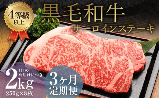 【3ヶ月定期便】 くまもと 黒毛和牛 サーロインステーキ 2.0kg(250g×8枚) 牛肉 牛 肉