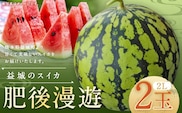 熊本県 益城町 スイカ 肥後漫遊 2玉 (2玉×2L) 計約14kg 【2026年4月下旬~6月下旬迄発送予定】