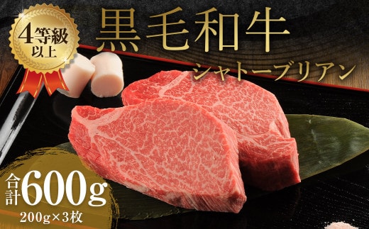 くまもと 黒毛和牛 シャトーブリアン 600g(200g×3枚)牛肉 牛 肉
