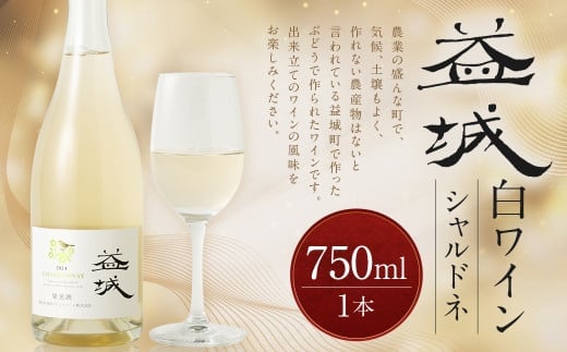 益城ワイン(白)750ml 1本 ワイン 白ワイン シャルドネ