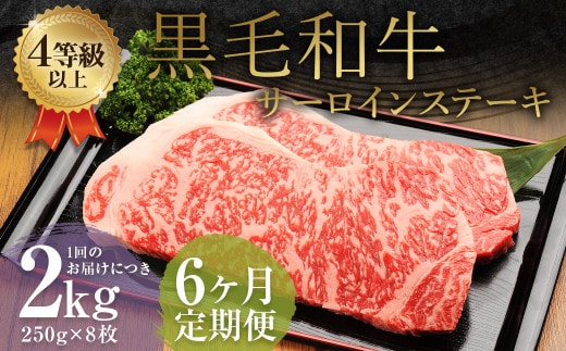 【6ヶ月定期便】 くまもと 黒毛和牛 サーロインステーキ 2.0kg(250g×8枚) 牛肉 牛 肉