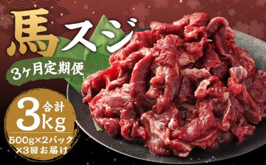 【3ヶ月定期便】 馬スジ 約1kg(500g×2パック) 計約3kg 馬肉 肉 馬すじ スジ 煮込み 熊本飼育 冷凍 定期便