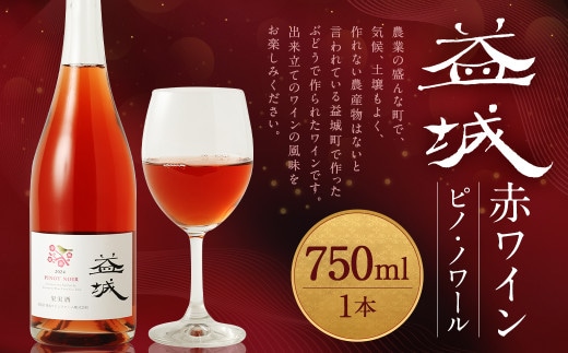 益城ワイン(赤)750ml 1本 ワイン 赤ワイン ピノ・ノワール