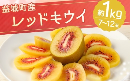益城町産 レッドキウイ 約1kg(7~12玉)【2026年10月下旬~2027年2月上旬順次発送予定】
