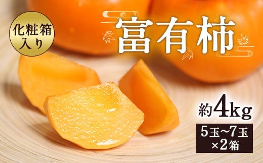 富有柿 合計約4kg 1箱5~7玉×2箱 化粧箱 付き 柿 太秋柿 【2025年11月上旬~12月下旬発送予定】