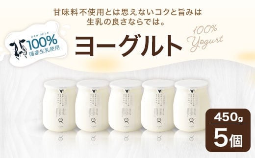 石坂ファーム の 生乳 100% ヨーグルト 450g×5個 合計2.25kg 甘味料不使用 デザート 乳製品