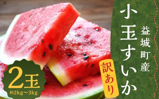 訳あり 小玉すいか 2玉 約2~3kg 送料無料 熊本すいか すいか 西瓜 ひとりじめ 果物 フルーツ 【2026年5月下旬~7月下旬発送予定】