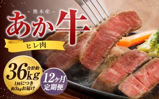 【12か月定期便】 熊本 あか牛 ヒレ肉 約3kg (約150g×15枚~18枚) 牛 肉 牛肉 ヒレ ステーキ